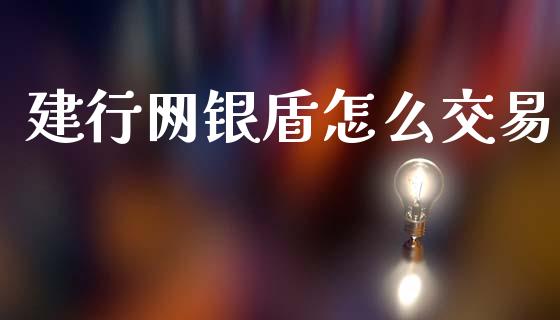 建行网银盾怎么交易_https://m.15771688.com_期货手续费_第1张