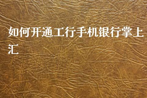 如何开通工行手机银行掌上汇_https://m.15771688.com_道指实时行情_第1张