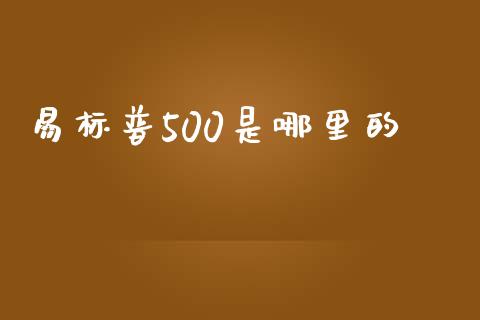 易标普500是哪里的_https://m.15771688.com_期货开户_第1张