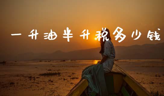 一升油半升税多少钱_https://m.15771688.com_道指实时行情_第1张