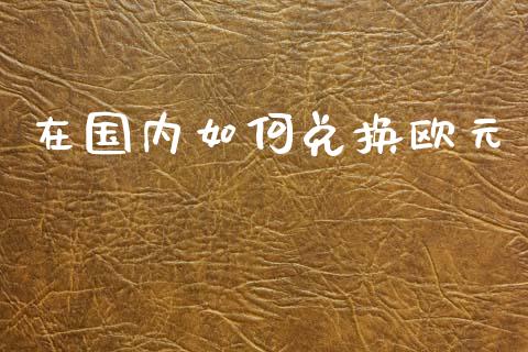 在国内如何兑换欧元_https://m.15771688.com_期货手续费_第1张