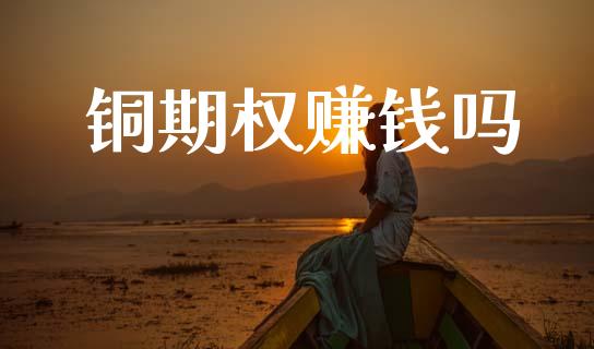 铜期权赚钱吗_https://m.15771688.com_期货开户_第1张
