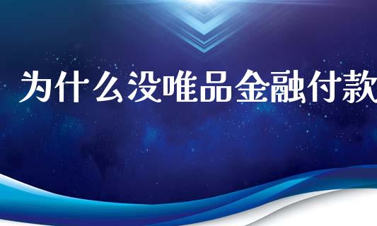为什么没唯品金融付款_期货手续费_第1张_期货开户_期货手续费_道指实时行情_美国道指 为什么没唯品金融付款_https://m.15771688.com_期货手续费_第1张
