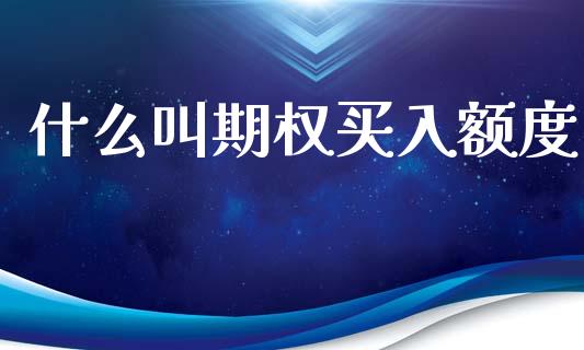 什么叫期权买入额度_https://m.15771688.com_道指实时行情_第1张