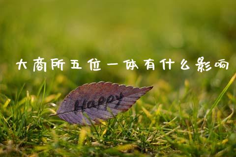 大商所五位一体有什么影响_https://m.15771688.com_期货开户_第1张