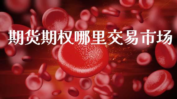 期货期权哪里交易市场_https://m.15771688.com_期货开户_第1张