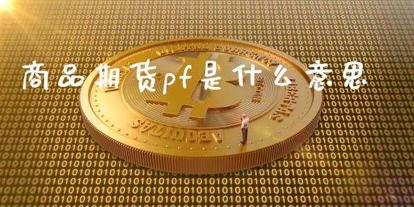 商品期货pf是什么意思_https://m.15771688.com_美国道指_第1张