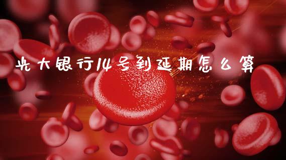 光大银行14号到延期怎么算_https://m.15771688.com_美国道指_第1张