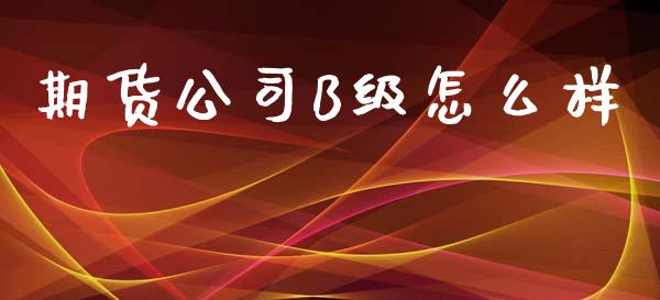 期货公司B级怎么样_https://m.15771688.com_期货开户_第1张