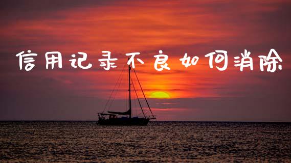 信用记录不良如何消除_https://m.15771688.com_期货开户_第1张