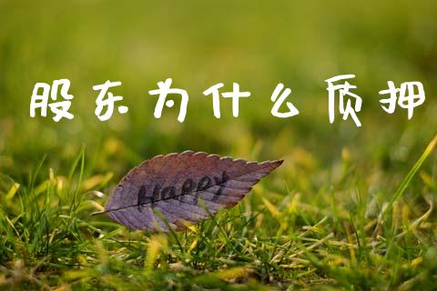 股东为什么质押_https://m.15771688.com_期货开户_第1张