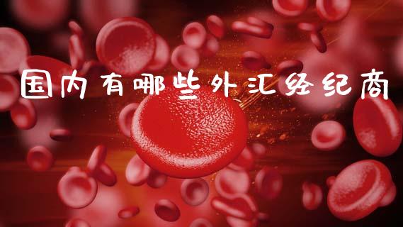 国内有哪些外汇经纪商_https://m.15771688.com_美国道指_第1张