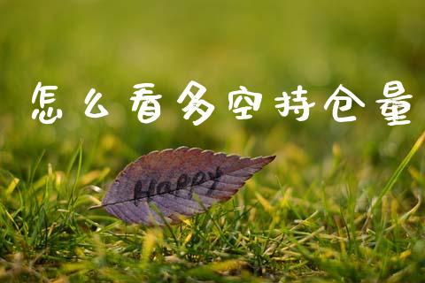 怎么看多空持仓量_https://m.15771688.com_期货手续费_第1张