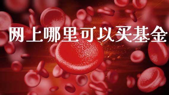网上哪里可以买基金_https://m.15771688.com_期货开户_第1张