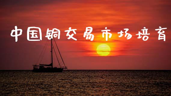 中国铜交易市场培育_https://m.15771688.com_期货手续费_第1张