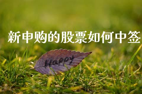 新申购的股票如何中签_https://m.15771688.com_期货开户_第1张