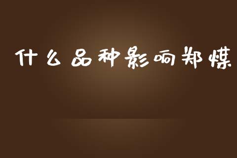 什么品种影响郑煤_https://m.15771688.com_道指实时行情_第1张