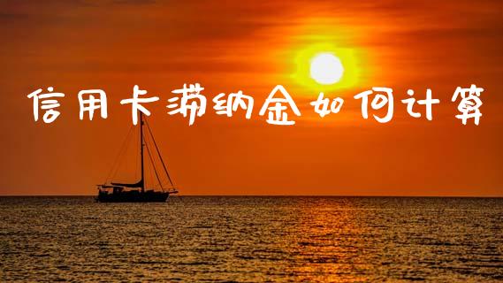 信用卡滞纳金如何计算_https://m.15771688.com_期货开户_第1张