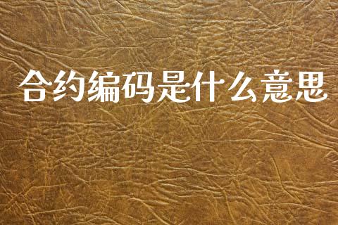 合约编码是什么意思_https://m.15771688.com_道指实时行情_第1张
