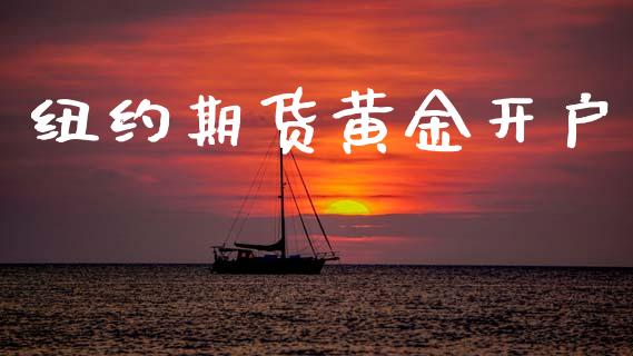 纽约期货黄金开户_https://m.15771688.com_期货手续费_第1张