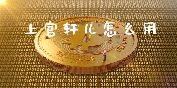 上官轩儿怎么用_https://m.15771688.com_道指实时行情_第1张