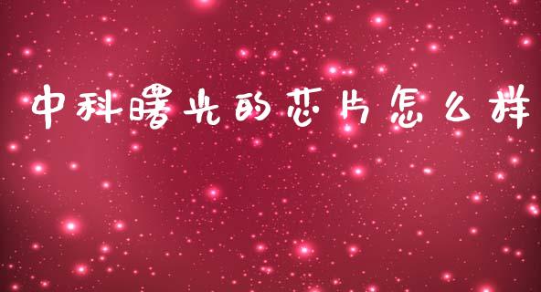 中科曙光的芯片怎么样_https://m.15771688.com_道指实时行情_第1张