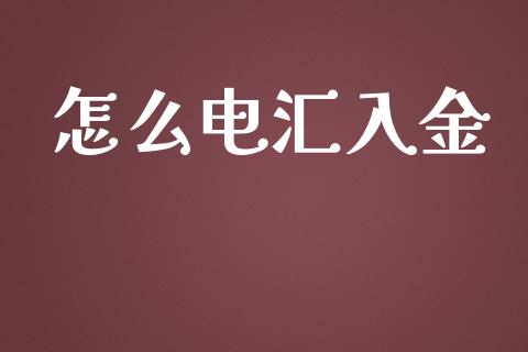 怎么电汇入金_https://m.15771688.com_期货开户_第1张
