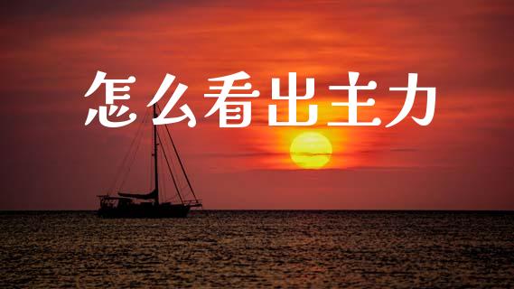 怎么看出主力_https://m.15771688.com_期货手续费_第1张