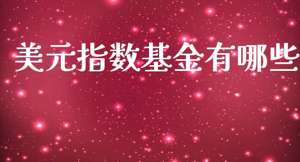 美元指数基金有哪些_https://m.15771688.com_道指实时行情_第1张