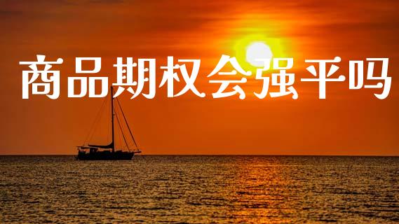 商品期权会强平吗_https://m.15771688.com_期货手续费_第1张