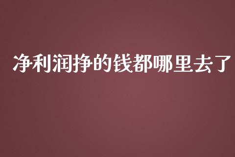 净利润挣的钱都哪里去了_https://m.15771688.com_美国道指_第1张