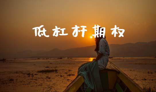低杠杆期权_https://m.15771688.com_期货手续费_第1张