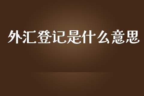 外汇登记是什么意思_https://m.15771688.com_期货开户_第1张