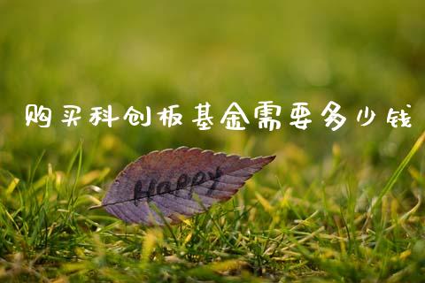 购买科创板基金需要多少钱_https://m.15771688.com_美国道指_第1张