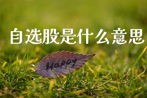 自选股是什么意思_https://m.15771688.com_道指实时行情_第1张