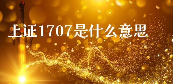 上证1707是什么意思_https://m.15771688.com_期货开户_第1张
