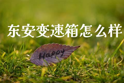 东安变速箱怎么样_https://m.15771688.com_美国道指_第1张