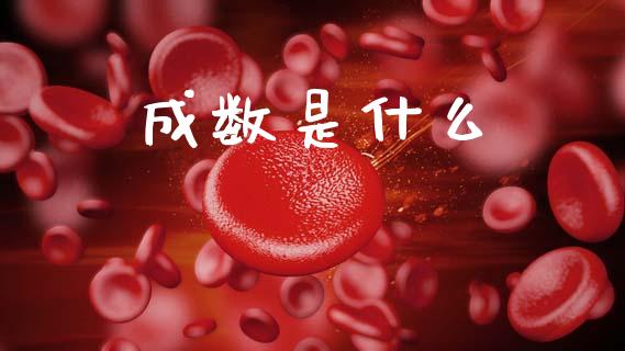 成数是什么_https://m.15771688.com_美国道指_第1张