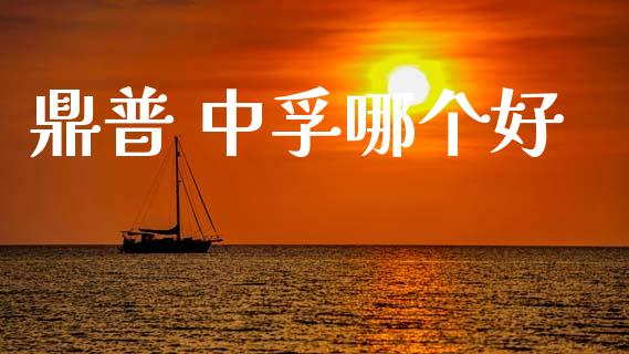 鼎普 中孚哪个好_https://m.15771688.com_期货开户_第1张