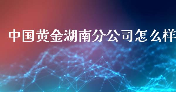 中国黄金湖南分公司怎么样_https://m.15771688.com_美国道指_第1张