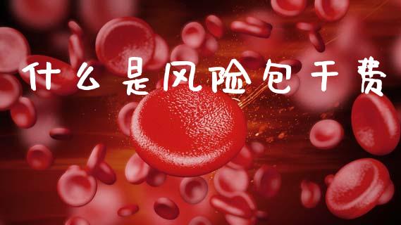 什么是风险包干费_https://m.15771688.com_期货开户_第1张