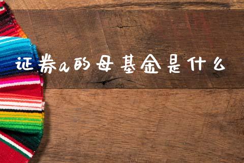 证券a的母基金是什么_https://m.15771688.com_期货开户_第1张