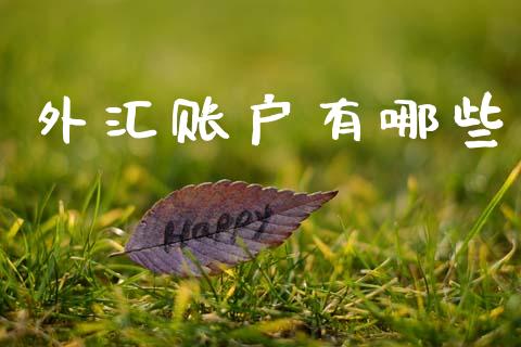 外汇账户有哪些_https://m.15771688.com_期货开户_第1张