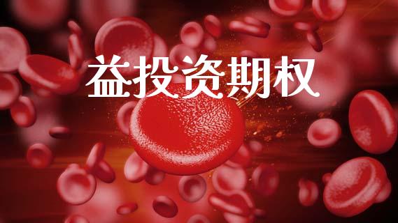 益投资期权_https://m.15771688.com_道指实时行情_第1张