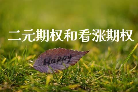 二元期权和看涨期权_https://m.15771688.com_美国道指_第1张