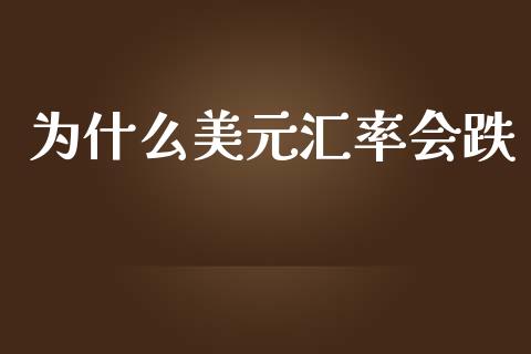 为什么美元汇率会跌_https://m.15771688.com_期货手续费_第1张