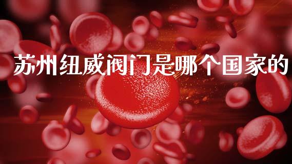 苏州纽威阀门是哪个国家的_https://m.15771688.com_美国道指_第1张