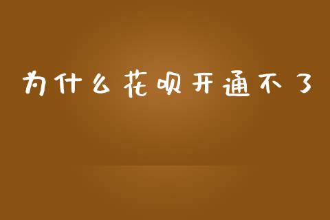 为什么花呗开通不了_https://m.15771688.com_美国道指_第1张