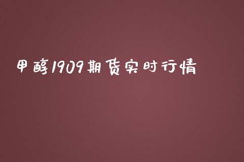 甲醇1909期货实时行情_https://m.15771688.com_美国道指_第1张