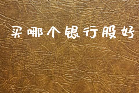 买哪个银行股好_https://m.15771688.com_道指实时行情_第1张